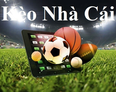 BC.GAME Chíp đá gà bịp