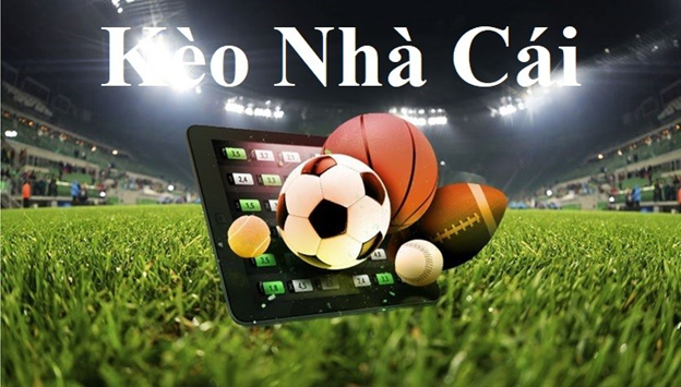 BC.GAME Chíp đá gà bịp BC.GAME Chíp đá gà bịp